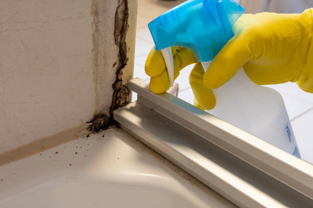 Best Residential Mold Removal  in Rushvle, IL