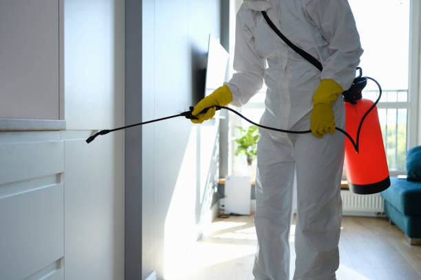 Professional Mold Removal in Rushville, IL