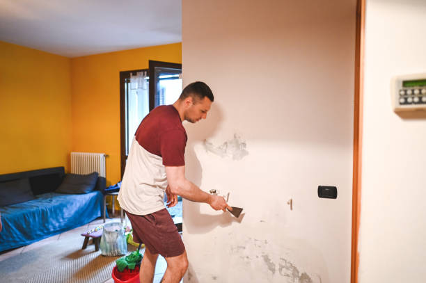 Best Fast Mold Removal  in Rushvle, IL
